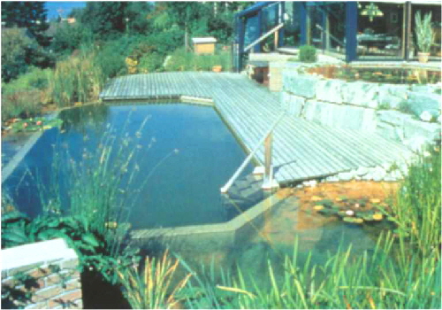 BioNova® - Building Custom Natural Swimming Pool Designs